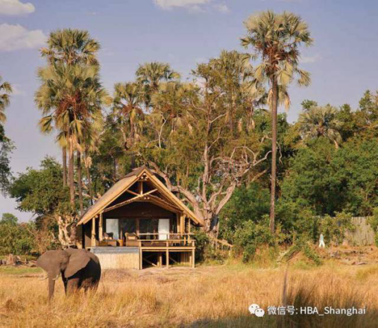 亚星署理治理网_署理平台_会员登录入口