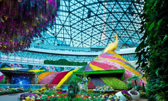 亚星署理治理网_署理平台_会员登录入口