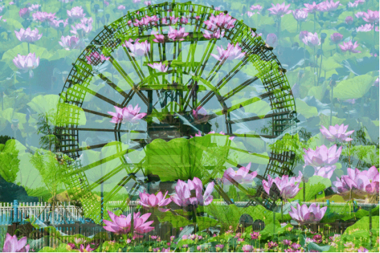 亚星署理治理网_署理平台_会员登录入口