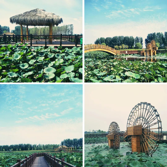 亚星署理治理网_署理平台_会员登录入口