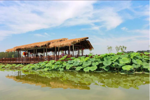 亚星署理治理网_署理平台_会员登录入口