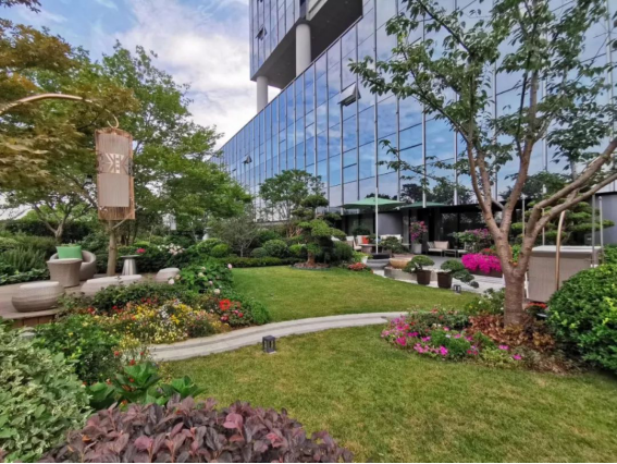 亚星署理治理网_署理平台_会员登录入口