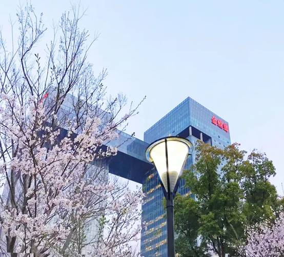 亚星署理治理网_署理平台_会员登录入口