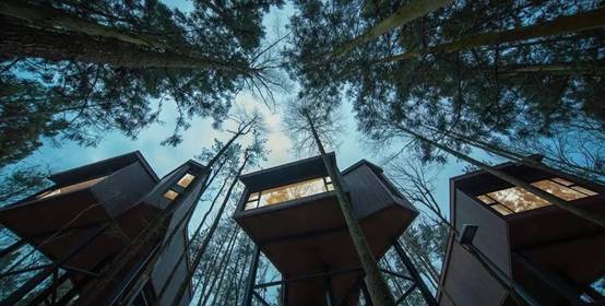 亚星署理治理网_署理平台_会员登录入口