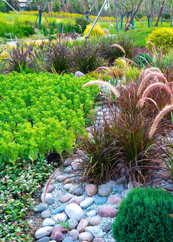 亚星署理治理网_署理平台_会员登录入口