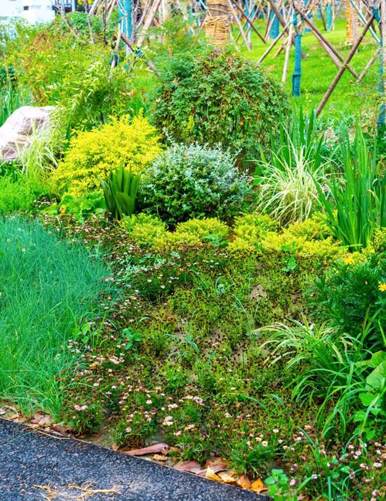 亚星署理治理网_署理平台_会员登录入口